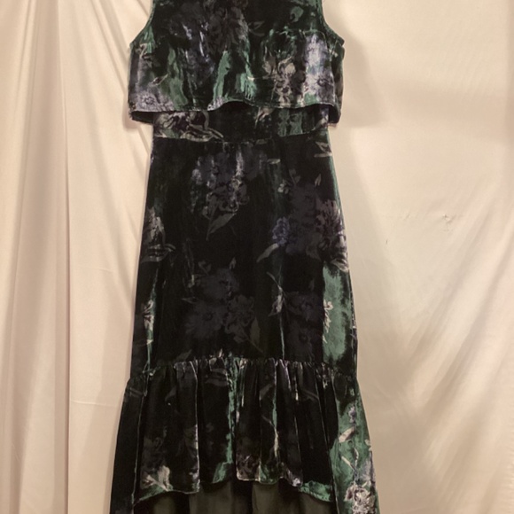Eva Franco Anthropologie forest green velvet Floral maxi dress Special Occasion - Picture 5 of 10